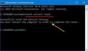 Screenshot of Command Prompt running netsh winsock reset showing "Successfully reset the Winsock Catalog"