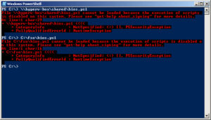 [Screenshot: PowerShell window with the command pasted and executing]