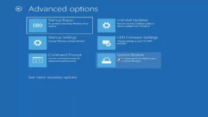 Windows 11 Advanced Startup Options Troubleshoot menu (blue recovery screen) with Advanced options highlighted